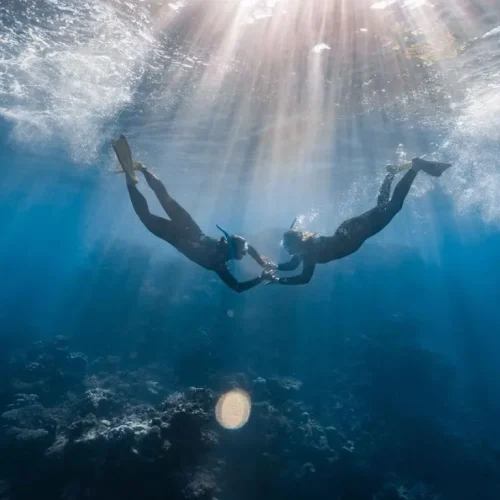 Coral Bay snorkelling