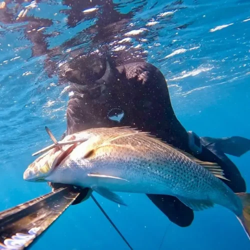 spearfishing