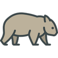 wombat