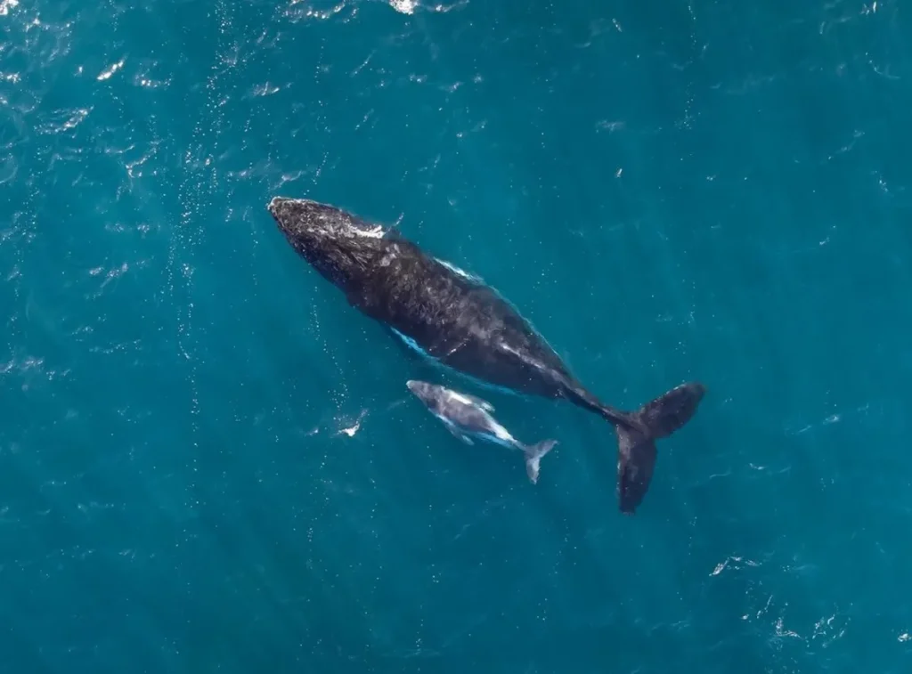 Visit Ningaloo Reef Region