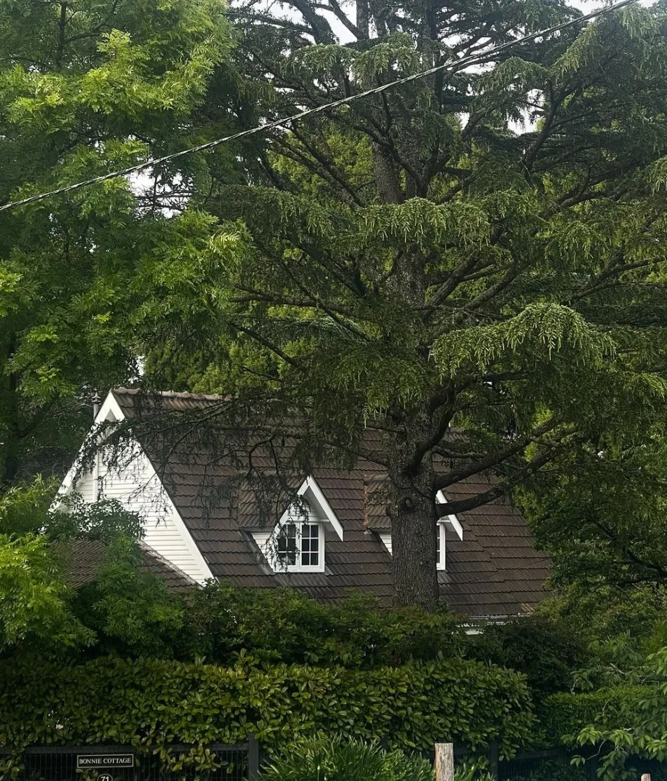 Leura Village
