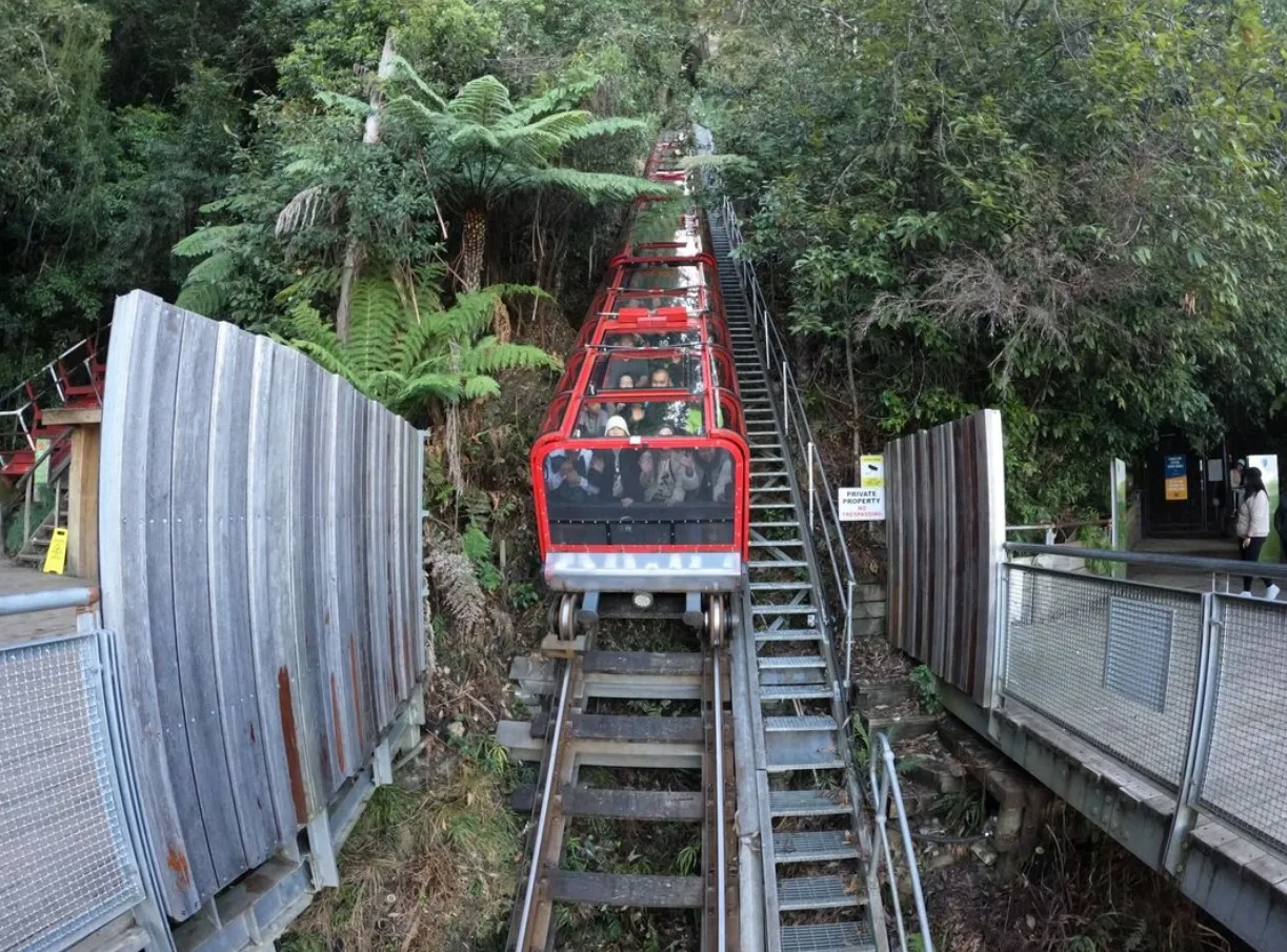 Scenic World