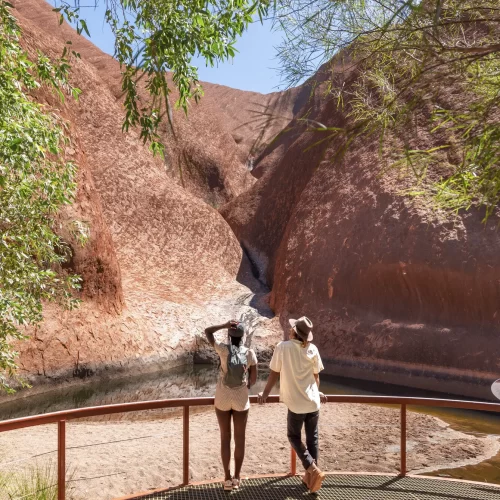alice springs to uluru tours