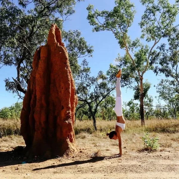 darwin tours kakadu