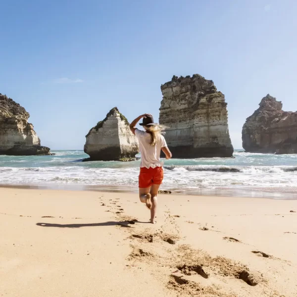 great ocean tour melbourne