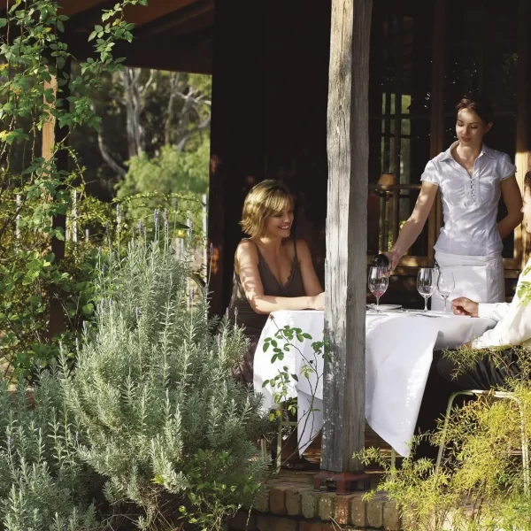 hunter valley wine tour