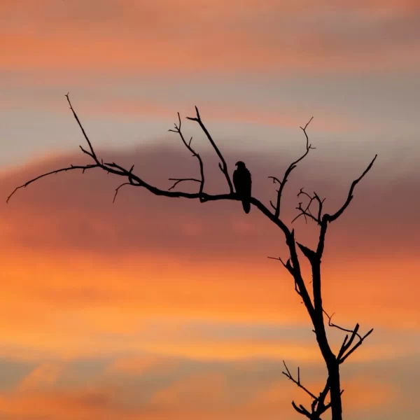 kakadu tours 2023