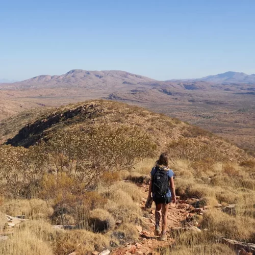 larapinta