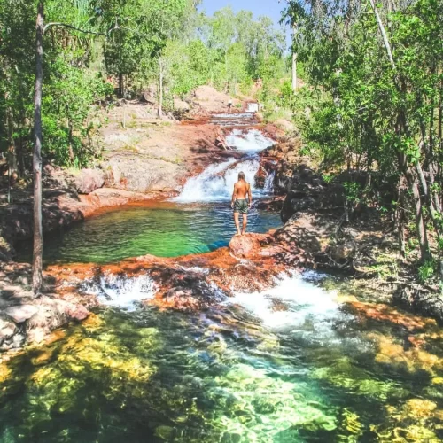 litchfield national park tours