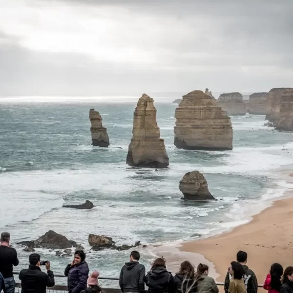 one day great ocean road tour