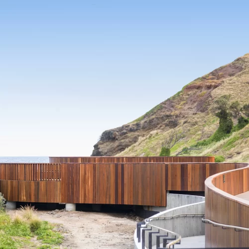 phillip island penguins tours from melbourne