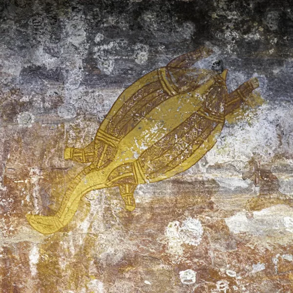 tours kakadu