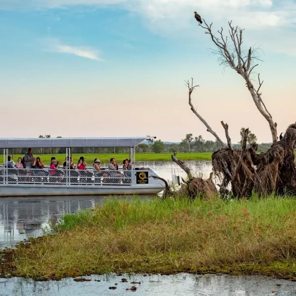 trips to kakadu from darwin