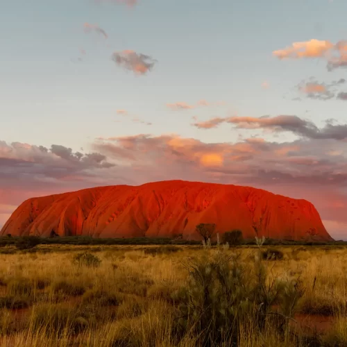 uluru to alice springs tour