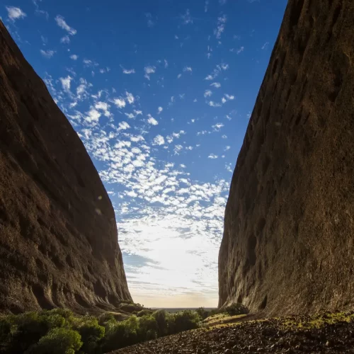 uluru tour from alice springs