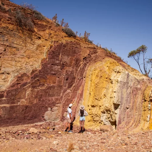 west macdonnell tour