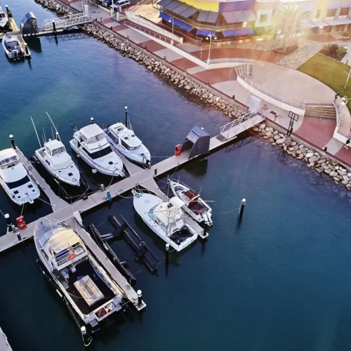 whale shark tours exmouth