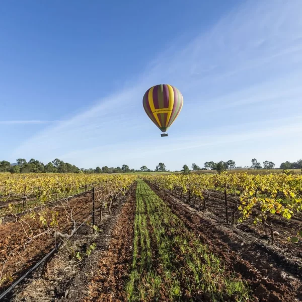 wine tasting tour hunter valley